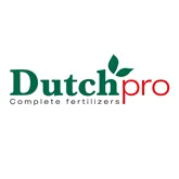 Dutch Pro