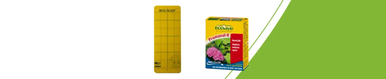 Gele BUG-SCAN vangstrip en ECOstyle Promanal-R concentraat: twee verschillende vormen van plaagcontrole