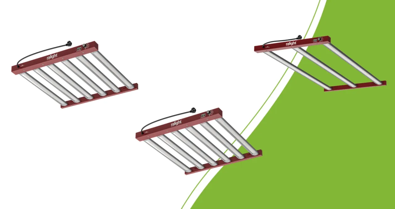 De drie Ralight 360W LED-uitvoeringen met zes, zes en drie lichtbalken