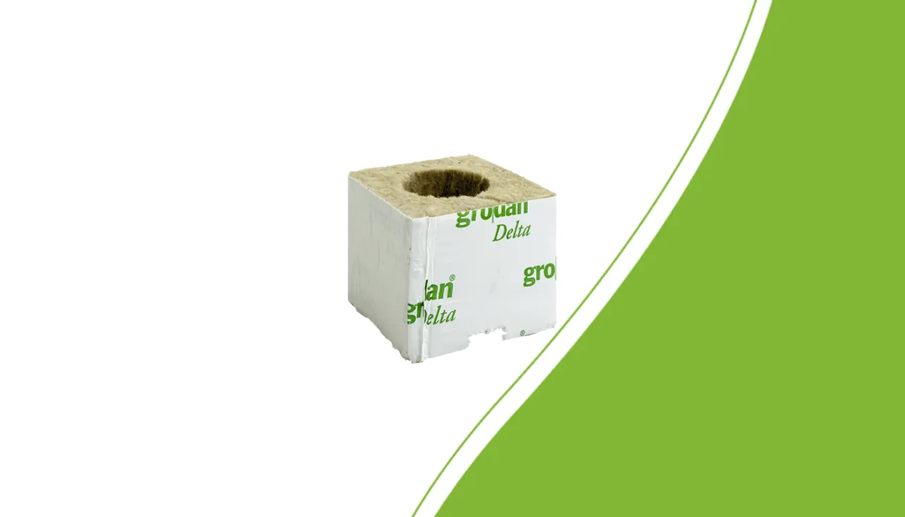 Grodan startblok met een gat van 38 mm