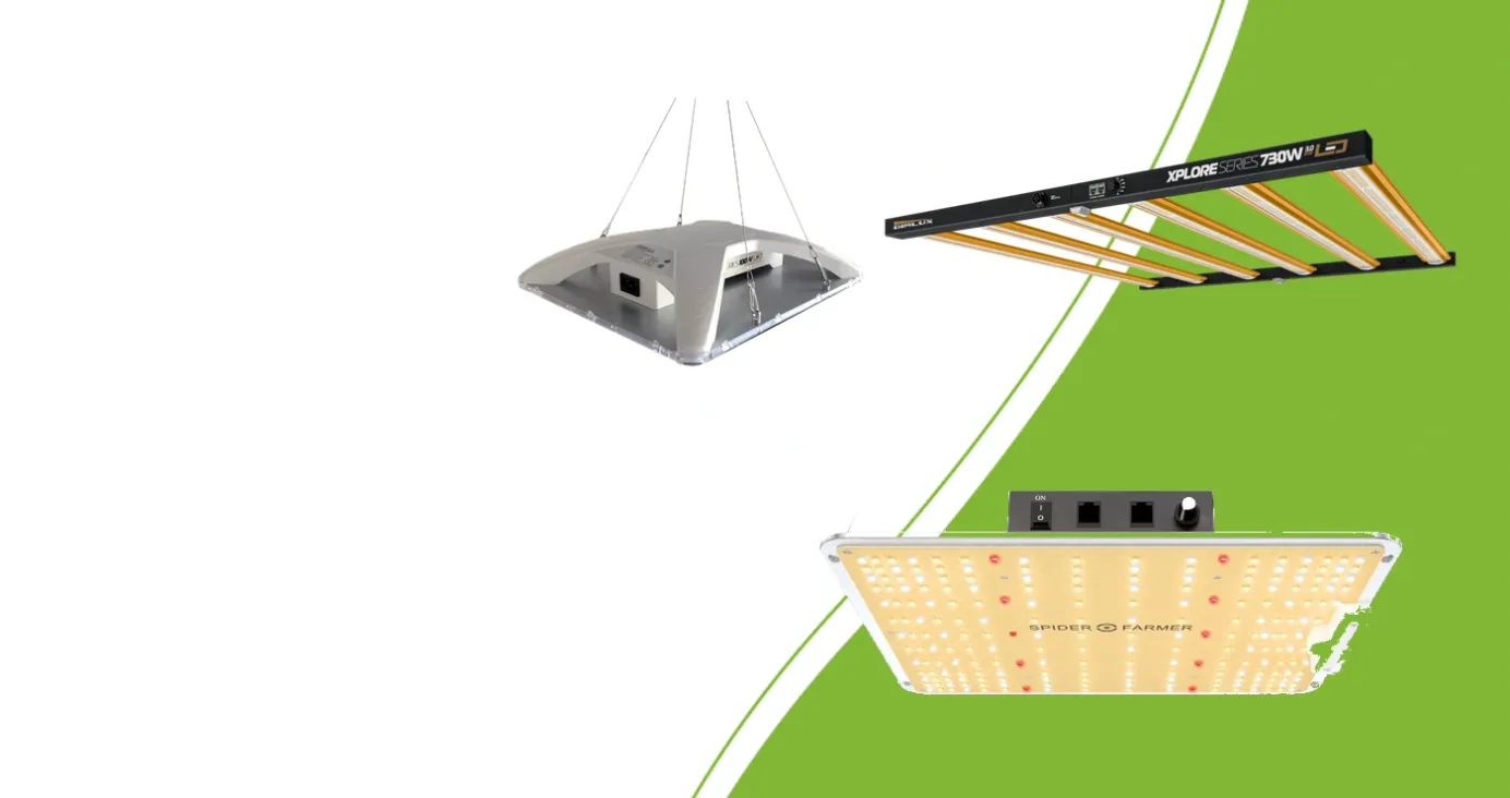 LED-kweeklampen: DimLux Xplore CompactLine 100W, Xplore 730W 3.0 en Spider Farmer SF-1000