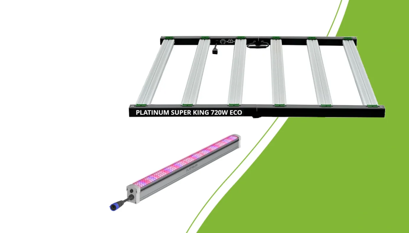 Platinum Super King 720W ECO en Under Canopy 150W als twee afzonderlijke lichttoepassingen