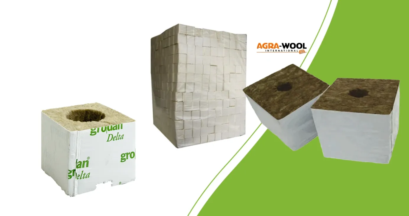 Grodan-startblok, witmerkblokken van 4 cm en Agra Wool-startblokken met plantgat