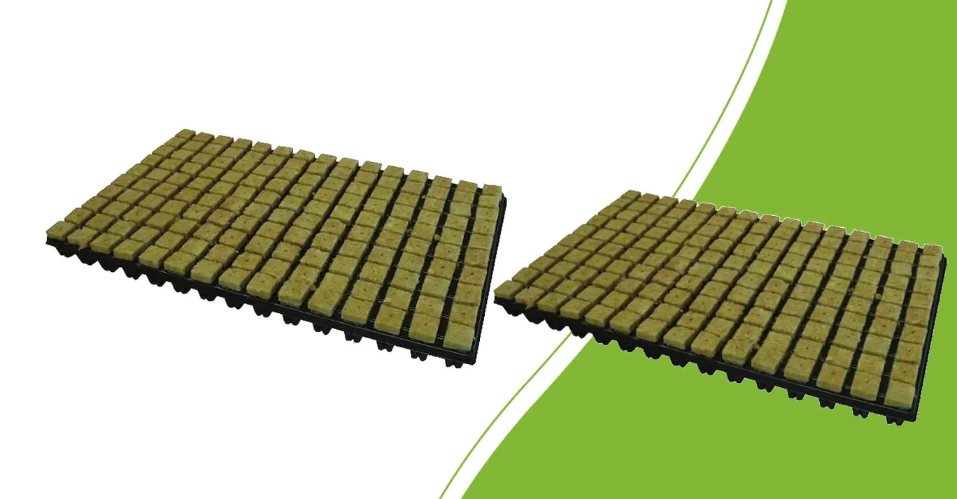 Grodan SBS- en Cultilene-steenwolpluggen in trays op een groene achtergrond
