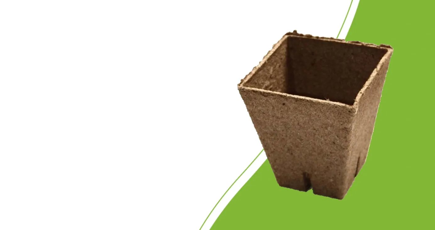 Vierkant Jiffy-turfpotje van 8 × 8 × 8 cm, gemaakt van veen en houtpulp