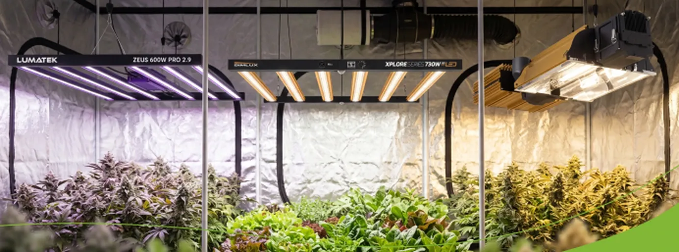 LED- und NDL-Beleuchtung über Pflanzen