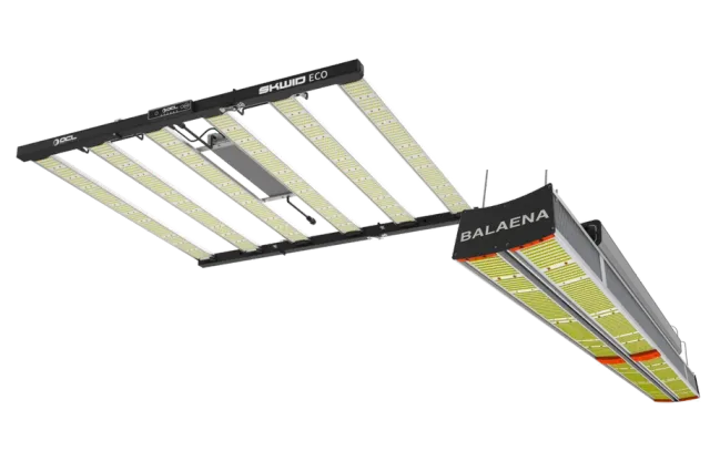 OCL LED