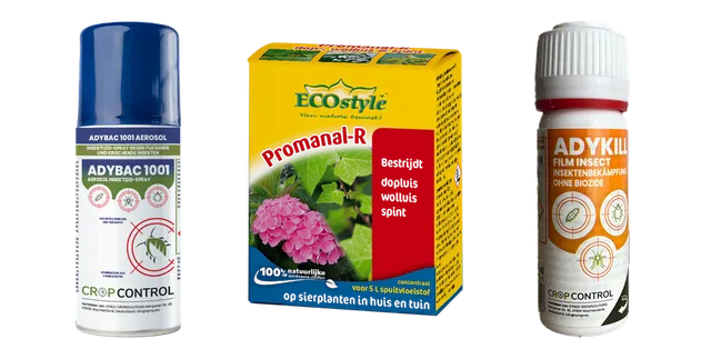 Productselectie voor Bestrijdingsmiddelen: Adybac 1001 | Spint bestrijdingsmiddel | Spuitbus 100ml; Eco-Style Promonal-R concentrate 50ml; AdyKill | Anti-Spint | 100% biologisch en effectief | Natuurlijke bestrijding tegen spint en trips