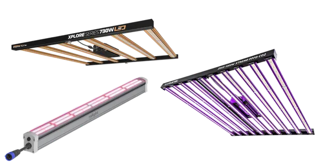 DimLux Xplore, Lumatek ZEUS, Ralight LED